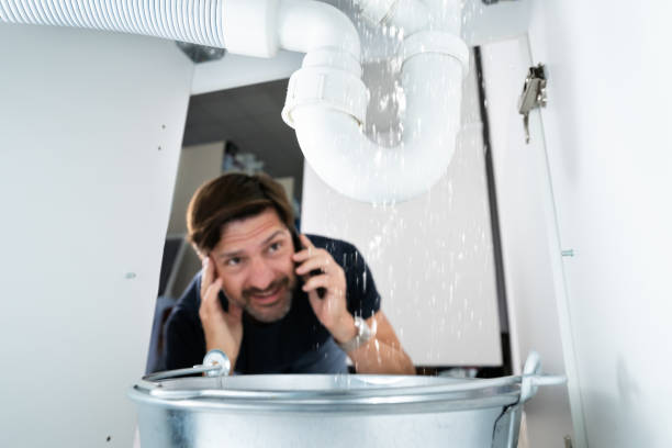 Best Emergency Plumber  in Green Meadows, OH
